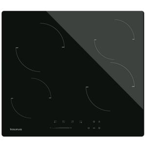 Placa Taurus – V6041S